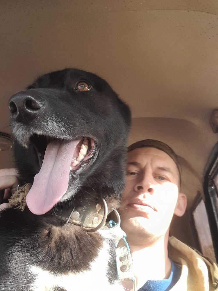 ���� 39435590 ������� ������, 37 ���, ���� ���������� � ���