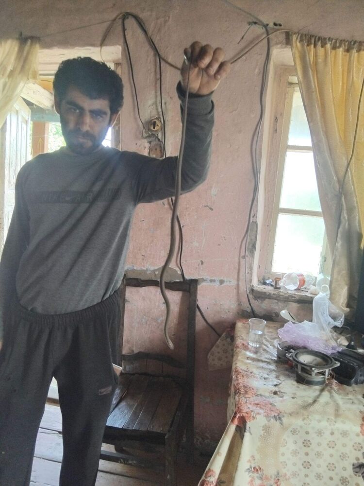  ,   Kniaz, 32 ,   ,   , c 