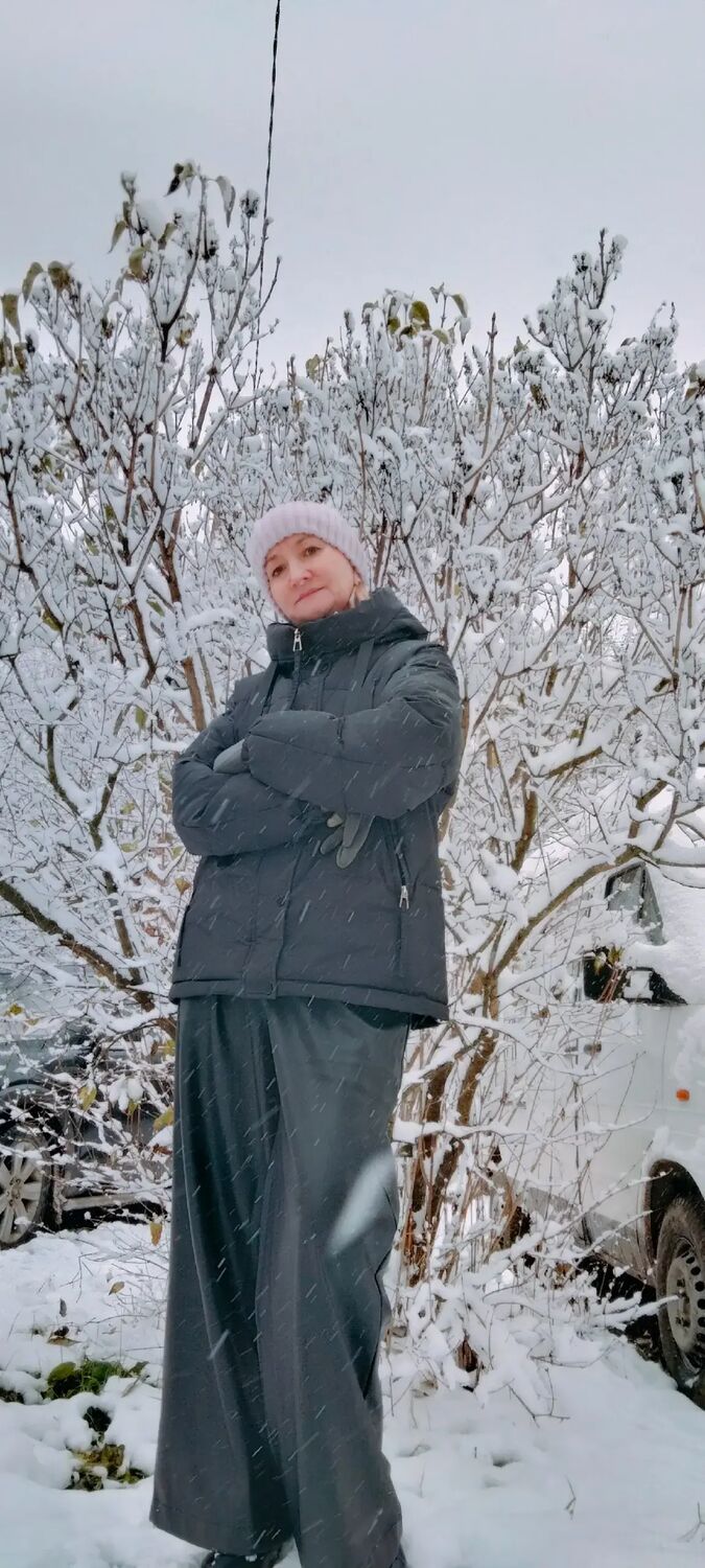 ���� 55295180 ������� �������, 53 ����, ���� ���������� � �������