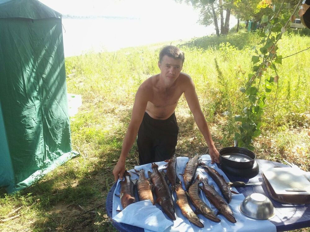 ���������� ������, ���� ������� �������, 47 ���, ������������ ��� ������, ����� � ���������, c�������� ���������, ���������