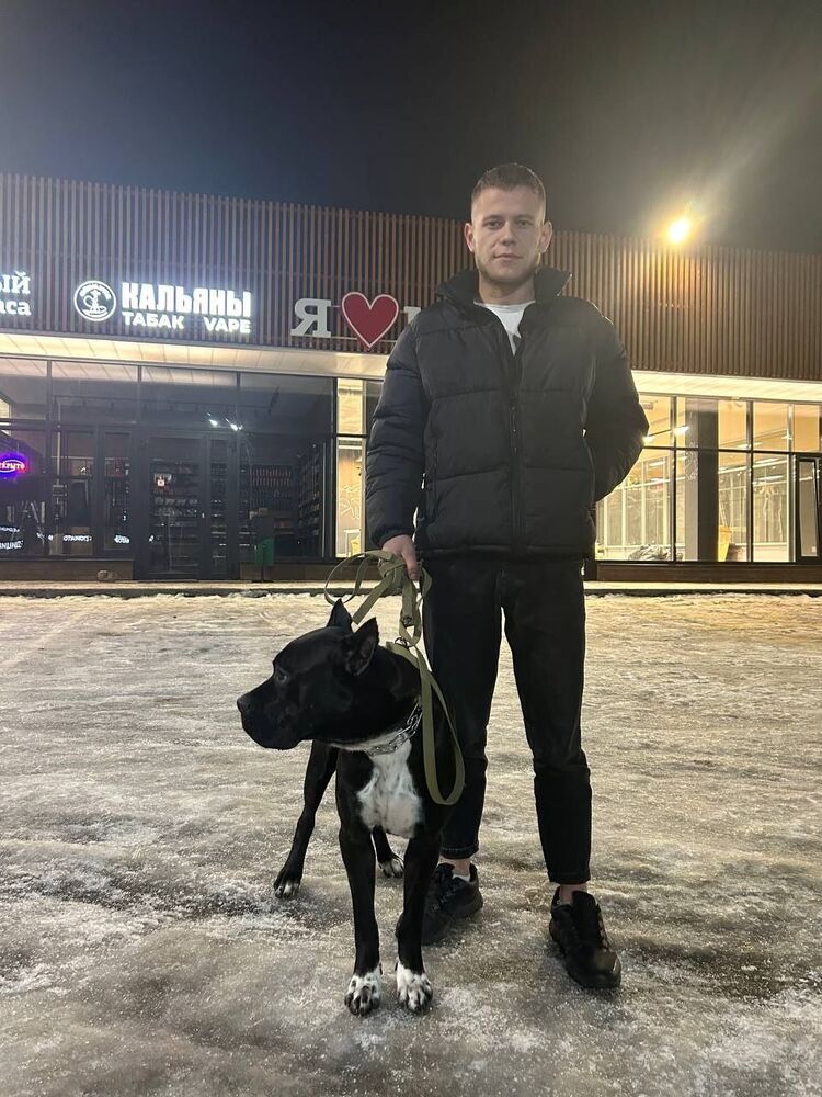 ���� 53039150 ����� ������, 22 ����, ���� ���������� � ��������