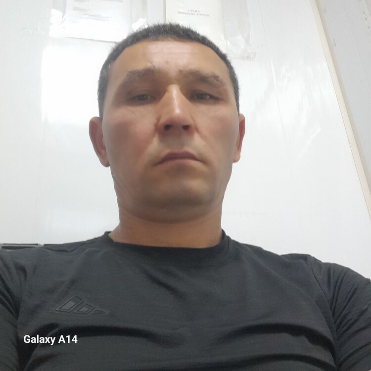  45606310  , 46 ,    