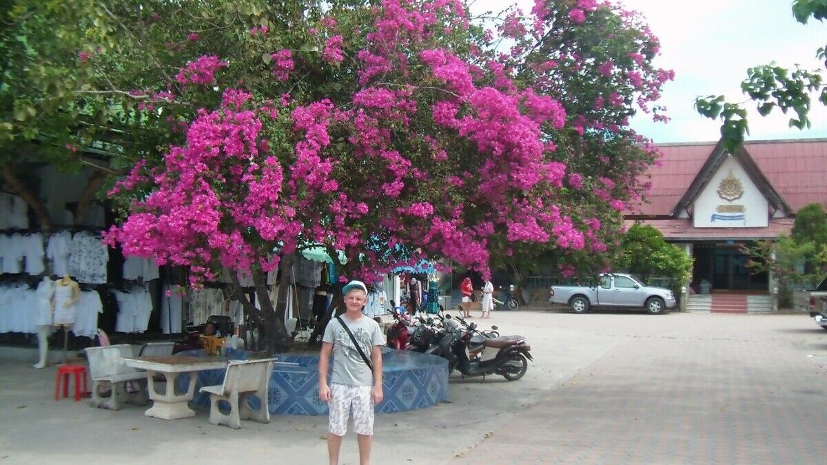  20494560  , 43 ,    -