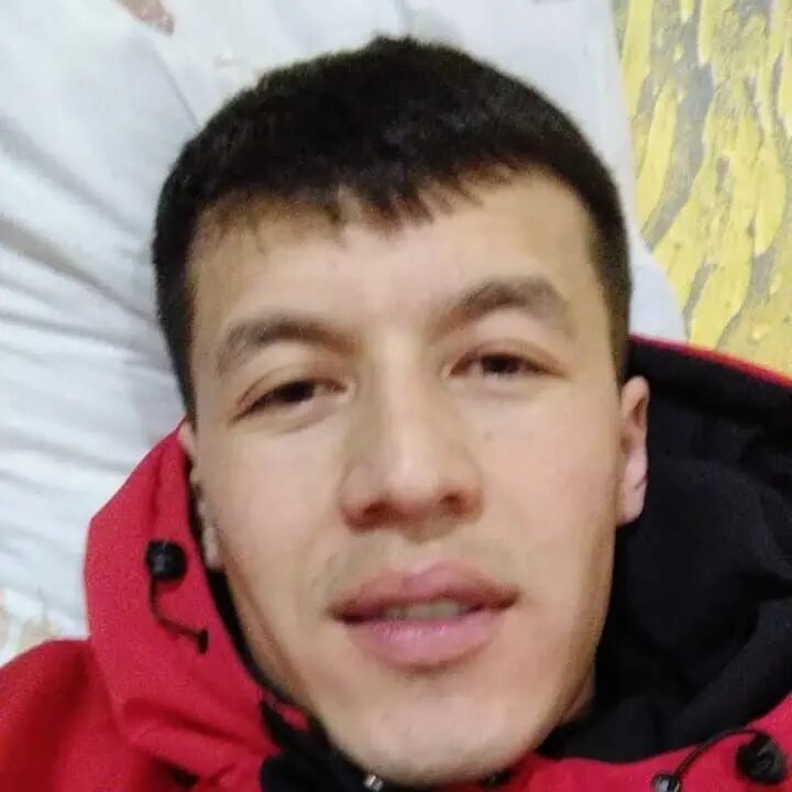  31497170  , 34 ,    