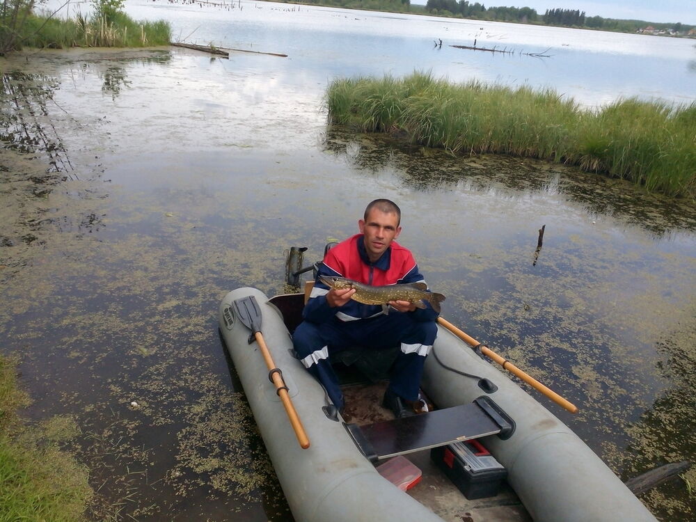 ���� 8104080 ������� ��������, 38 ���, ���� ���������� � �������������