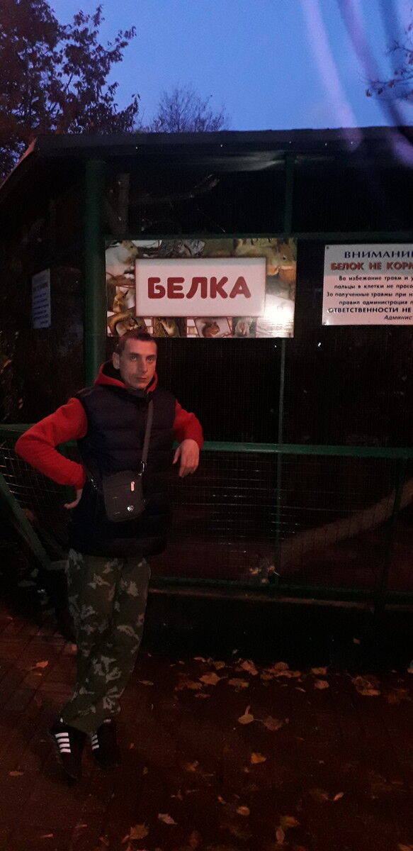  ,   Vitek, 38 ,   , 