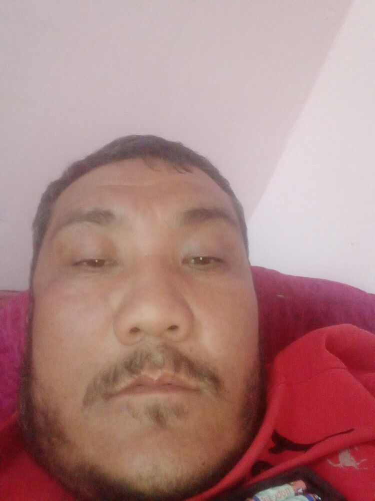  24495010  , 44 ,    