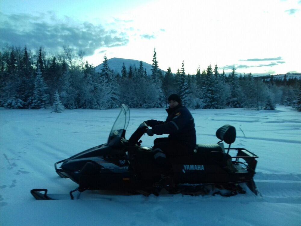 ���� 20194850 ������� ������, 32 ����, ���� ���������� � ��������