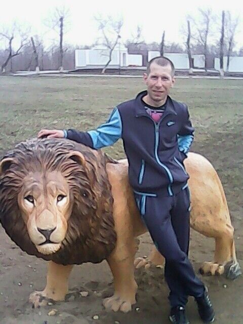 ���������� ����, ���� ������� ������, 37 ���, ������������ ��� ������, ����� � ���������, c�������� ���������, ���������