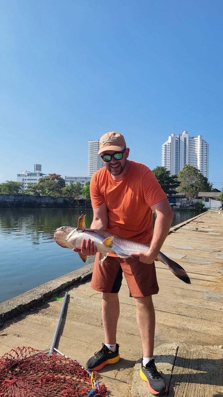 ���� 55767800 ������� �����, 37 ���, ���� ���������� � ��������