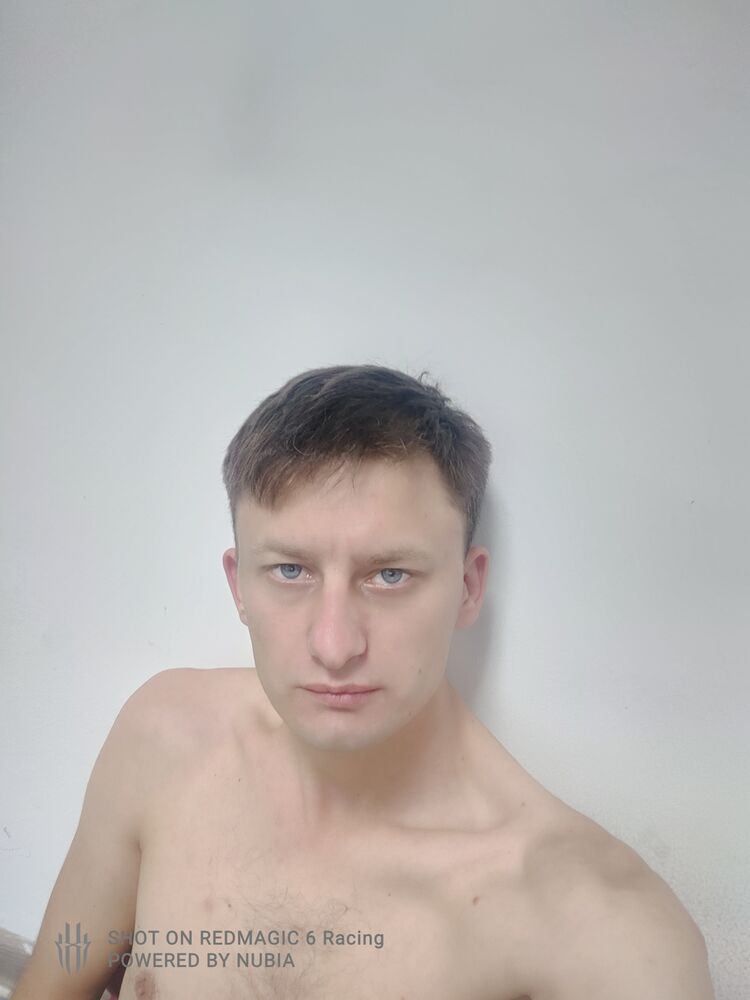  53848120  , 31 ,    