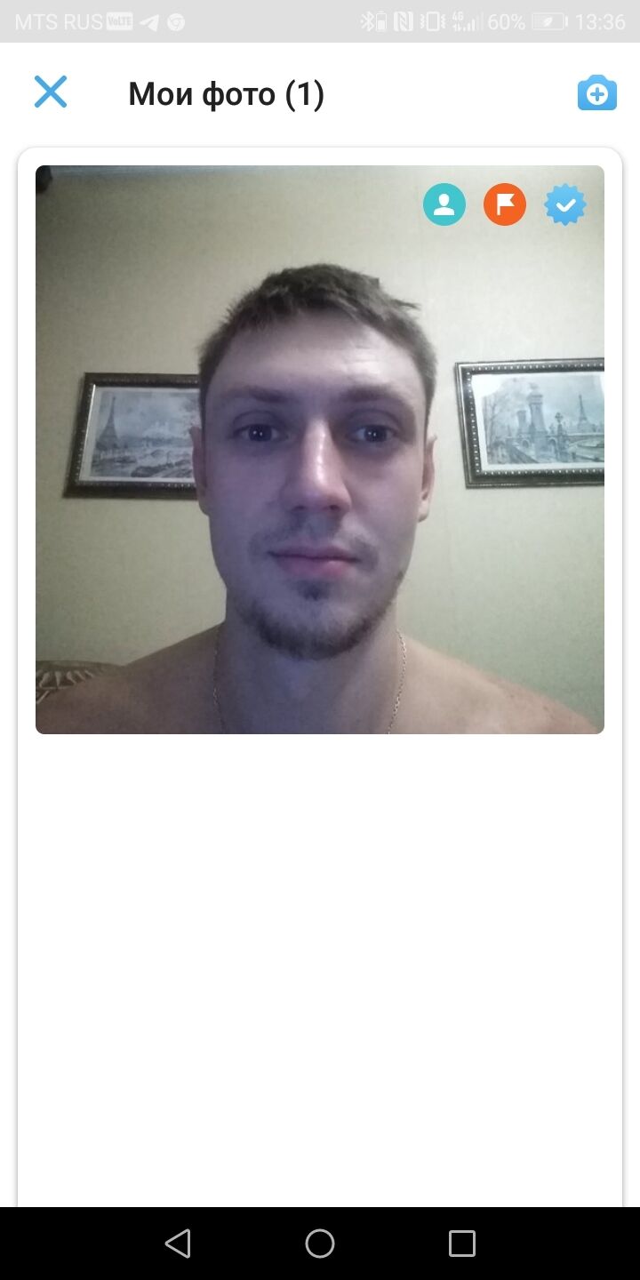 ���� 36017650 ������� �����, 38 ���, ���� ���������� � ������