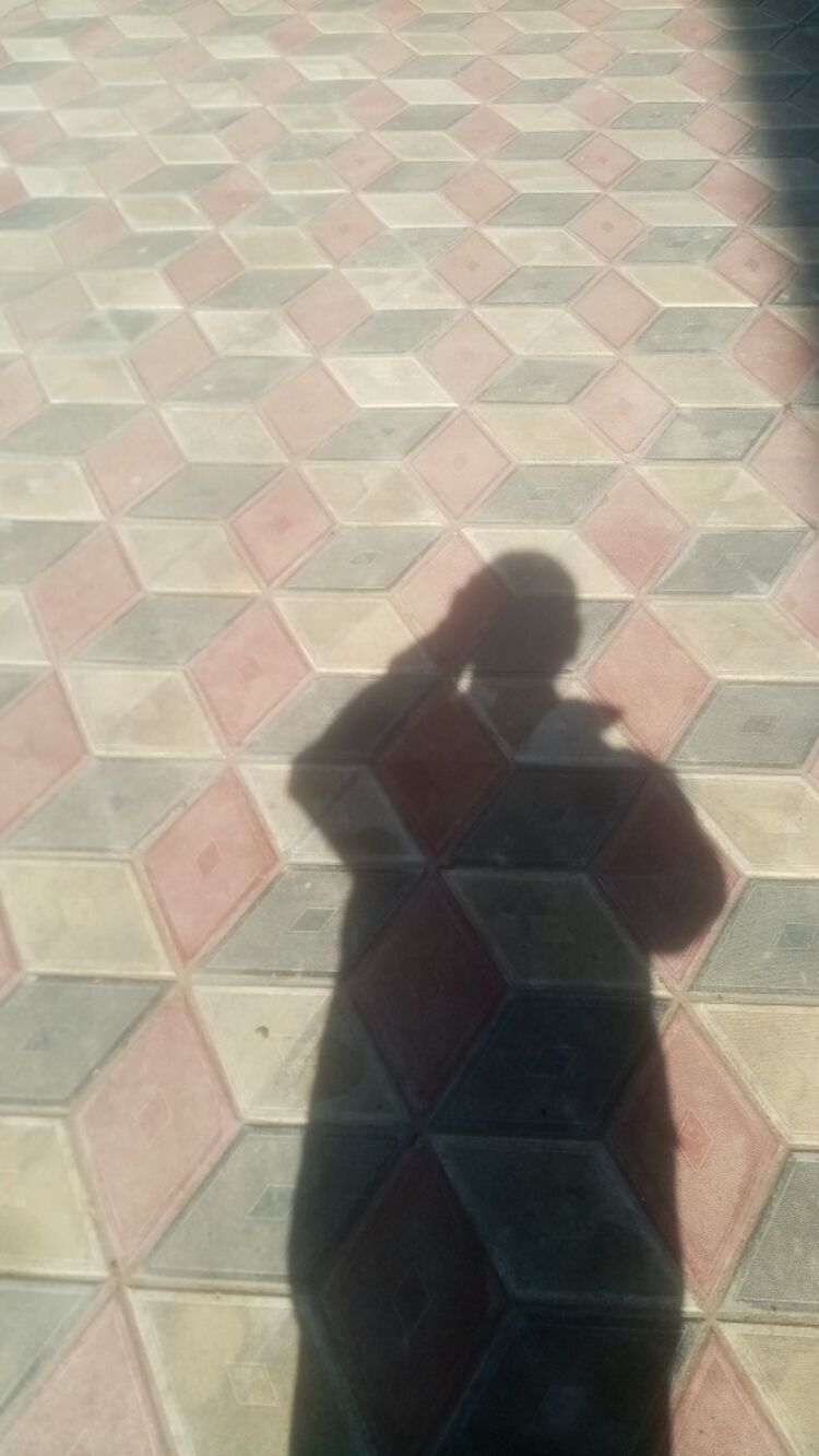 ���� 26859480 ������� ������, 41 ���, ���� ���������� � ���