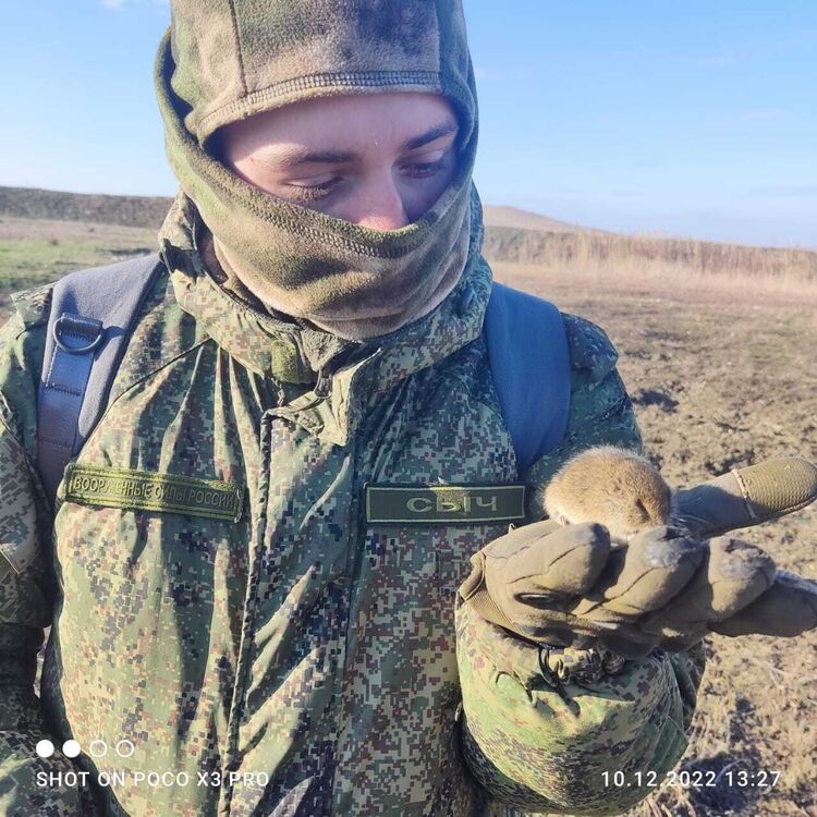 ���������� ����������, ���� ������� Nikita, 27 ���, ������������ ��� c�������� ���������, ���������