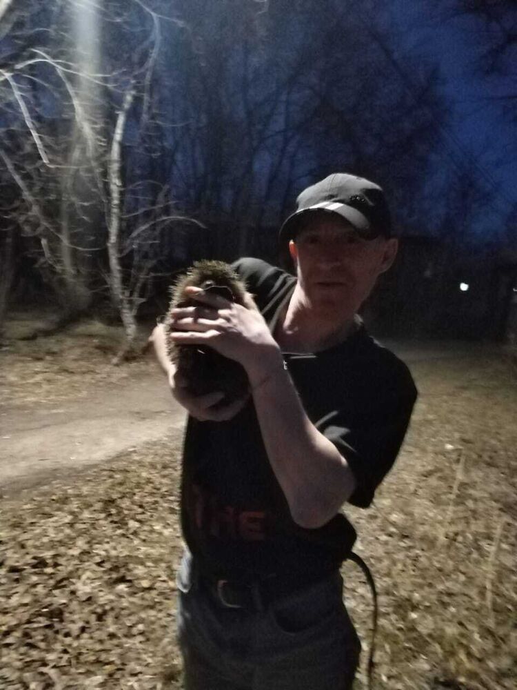  ,   , 42 ,   ,   , 