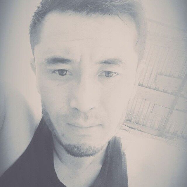 ���������� ������, ���� ������� Daler, 31 ���, ������������ ��� ������, ����� � ���������, c�������� ���������