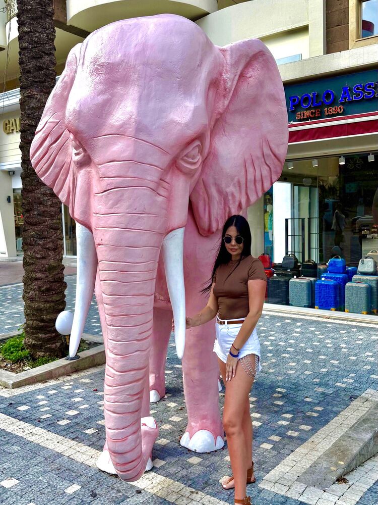 ���� 54623830 ������� ��� �����, 38 ���, ���� ���������� � ������