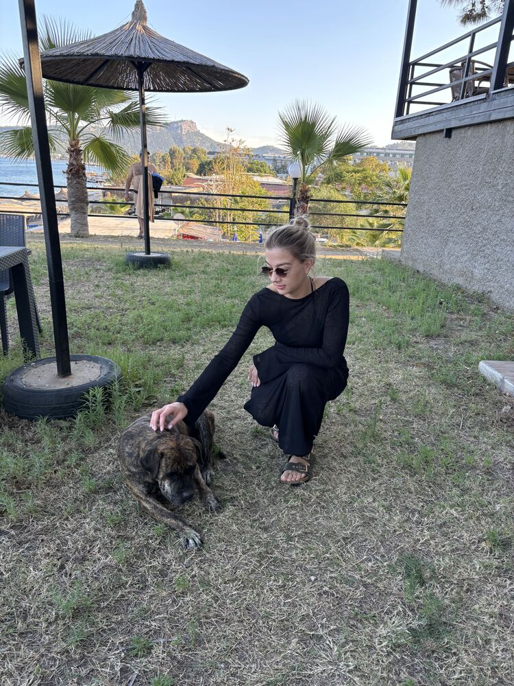 ���������� ������, ���� ������� �����, 37 ���, ������������ ��� ������, ����� � ���������, c�������� ���������