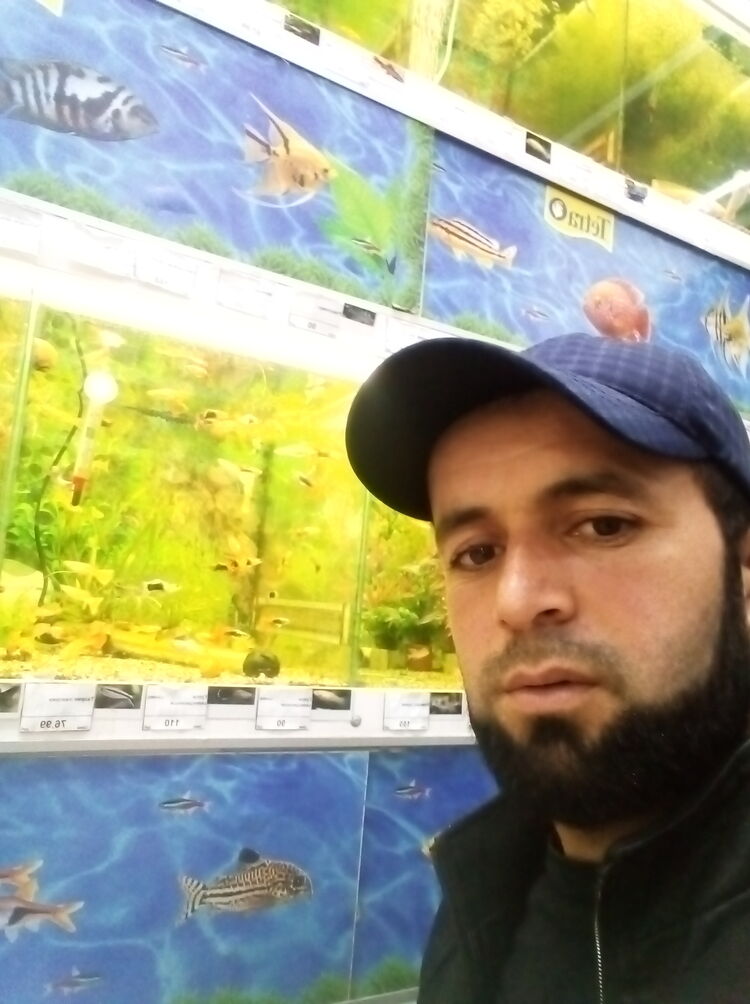 ���� 28769450 ������� ���, 34 ����, ���� ���������� � �������������