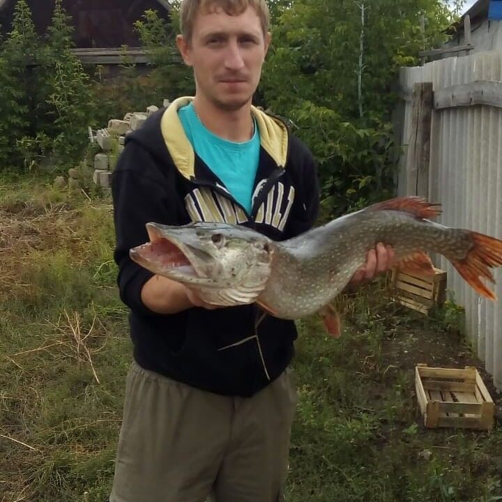  13383840  , 34 ,    