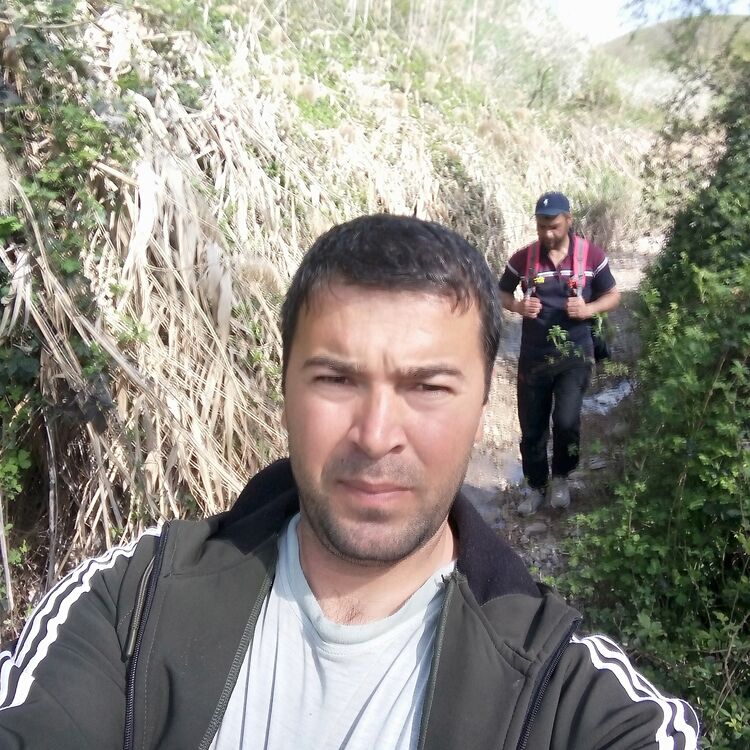 ���� 31073320 ������� �����, 38 ���, ���� ���������� � ������