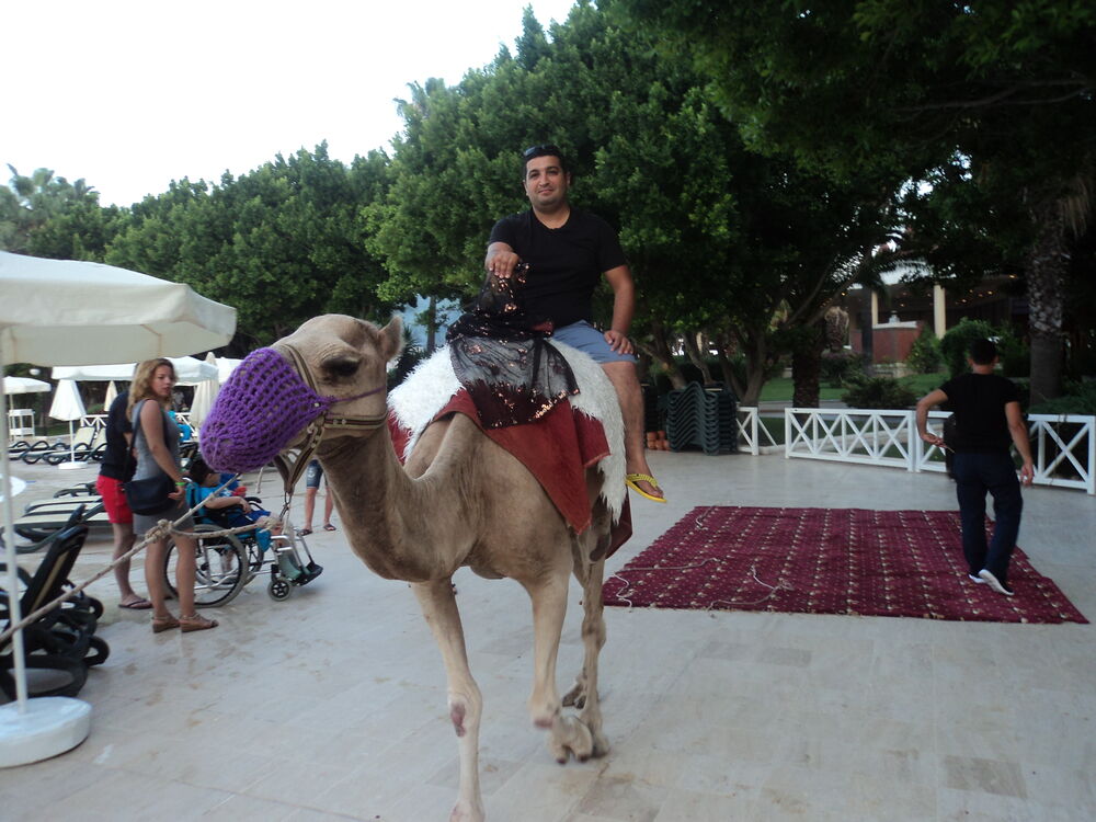 ���������� ����, ���� ������� Azer, 41 ���, ������������ ��� ������, ����� � ���������