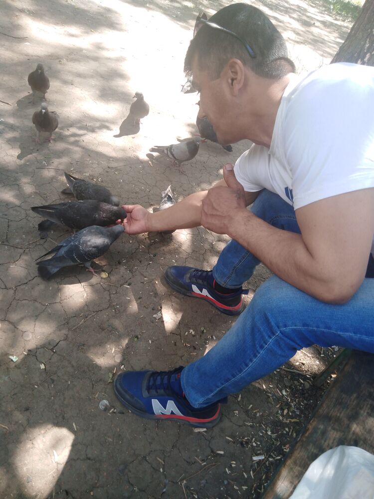 ���������� �������, ���� ������� ����, 45 ���, ������������ ��� ������, ����� � ���������, c�������� ���������, ���������