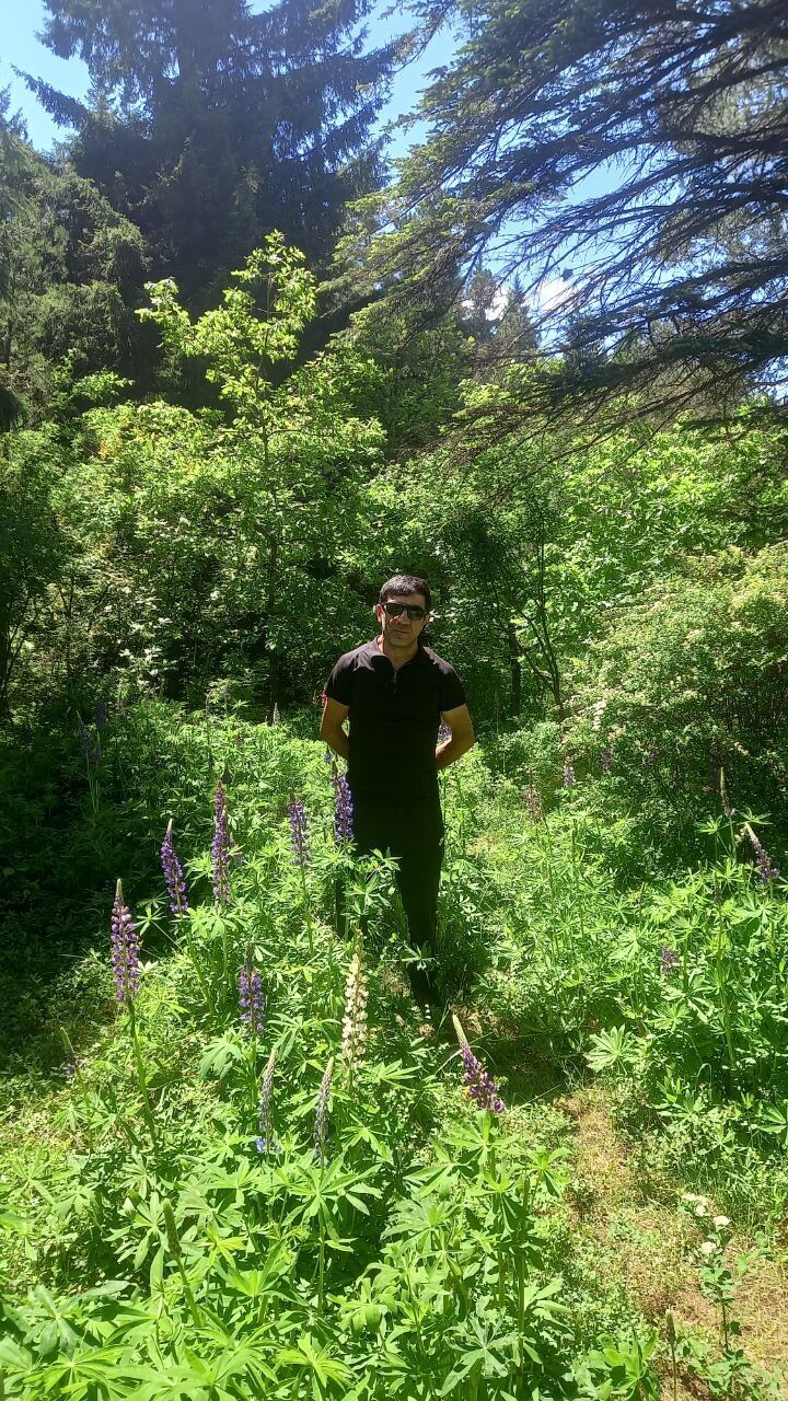 ���������� ������, ���� ������� �����, 39 ���, ������������ ��� ������, ����� � ���������, c�������� ���������, ���������