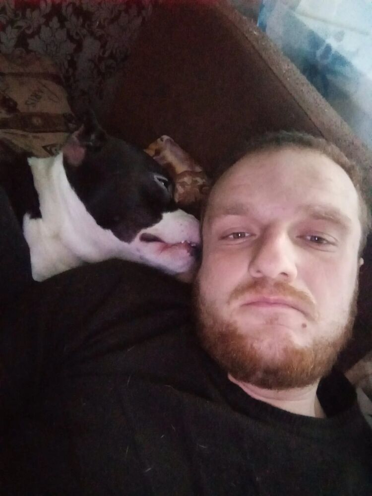 ���� 44056460 ������� �������, 33 ����, ���� ���������� � �����