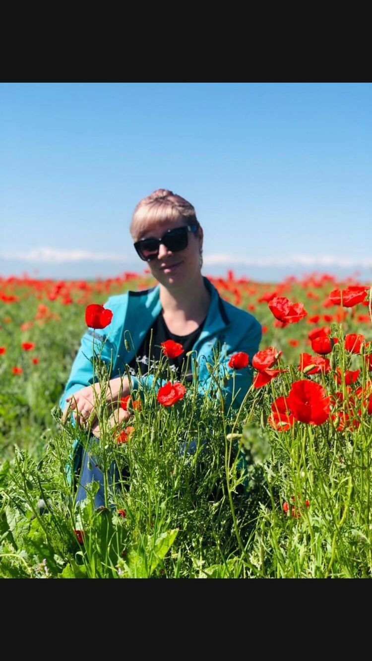  27551150  , 42 ,    -