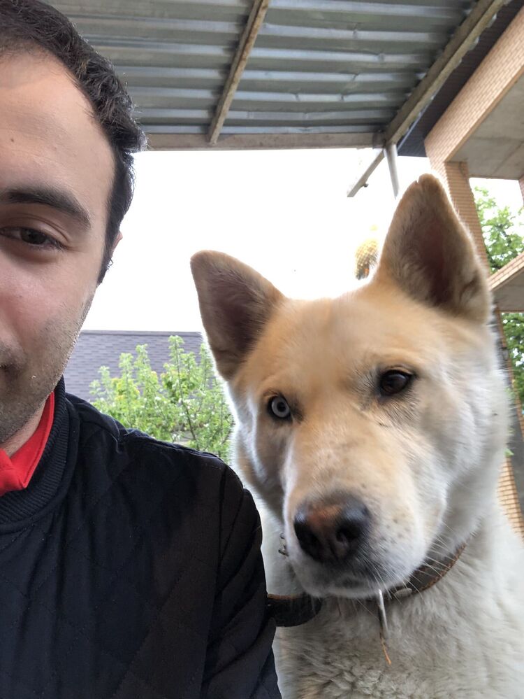 ���������� ������, ���� ������� ��������, 29 ���, ������������ ��� ������, ����� � ���������, c�������� ���������, ���������