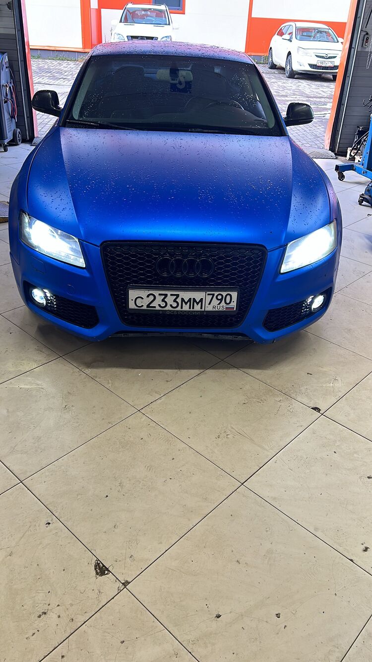 ���� 45179310 ������� ��������, 28 ���, ���� ���������� � �����-����������