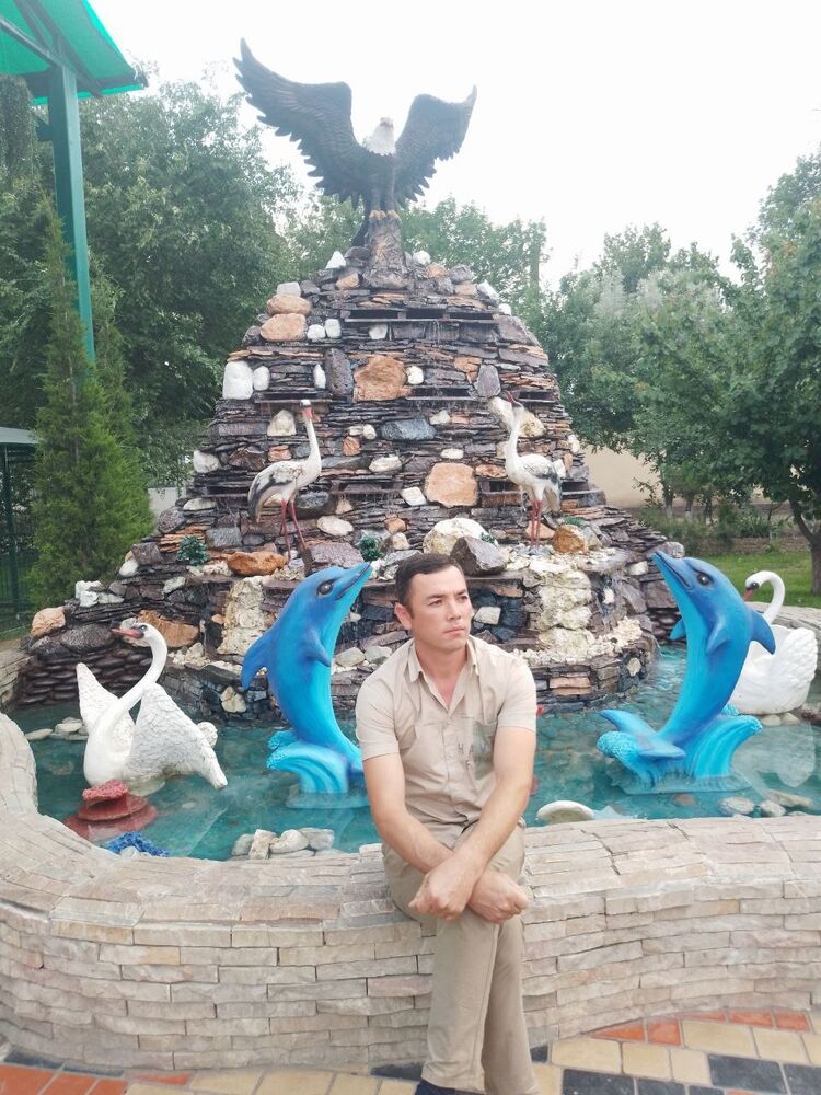 ���� 44097010 ������� Gulom, 36 ���, ���� ���������� � ��������