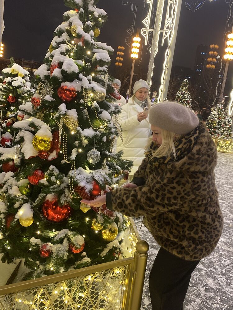 ���� 55995550 ������� �������, 53 ����, ���� ���������� � �����������