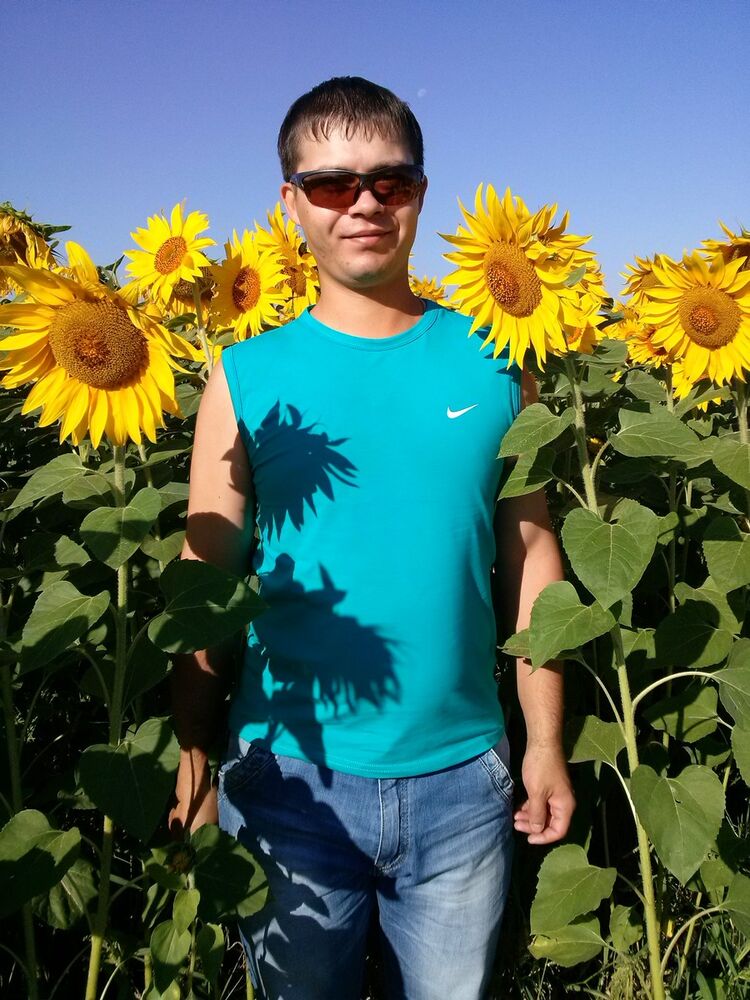  ,   , 37 ,   , 