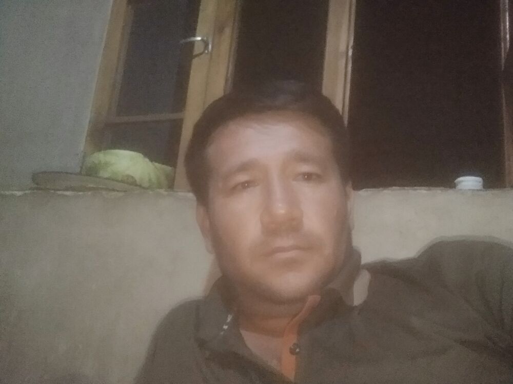  23709180  , 43 ,    