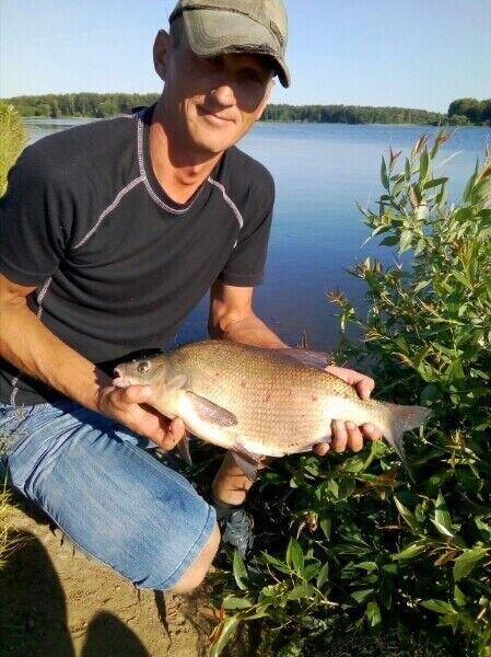 ���������� �����, ���� ������� ������, 47 ���, ������������ ��� ������, ����� � ���������, c�������� ���������