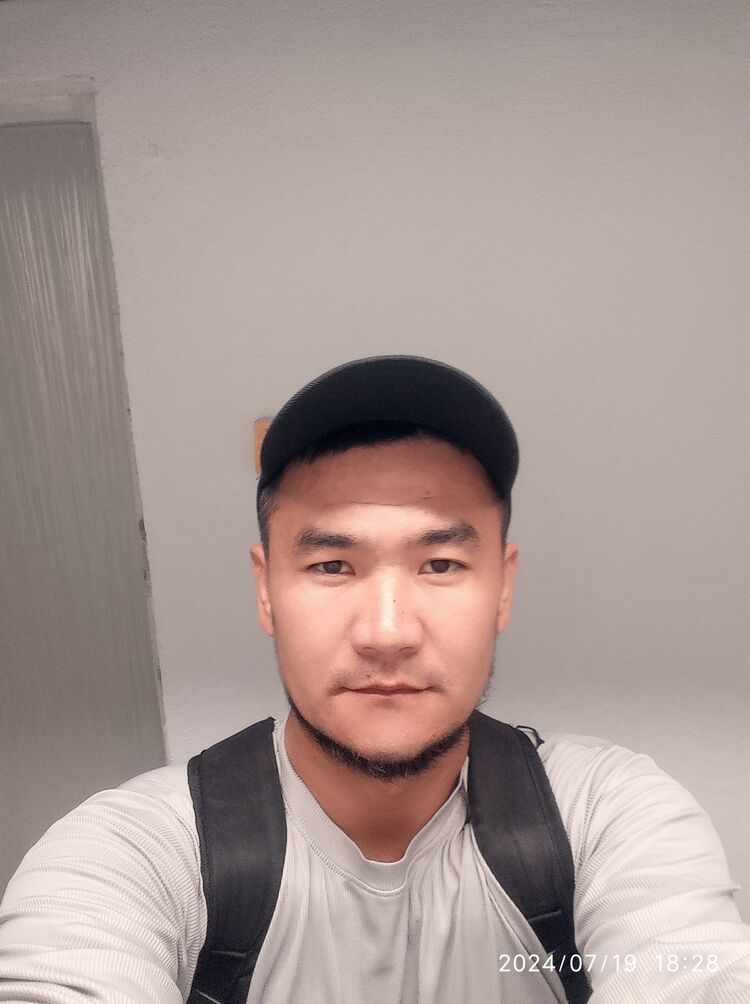  48091860  , 33 ,    