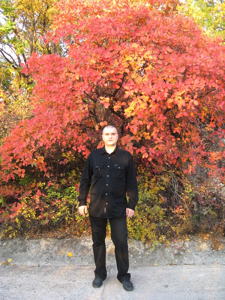 ���� 20141780 ������� ��������, 45 ���, ���� ���������� � �������