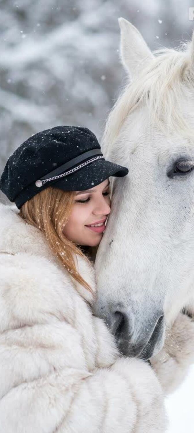 ���� 56097680 ������� ����, 31 ���, ���� ���������� � �����