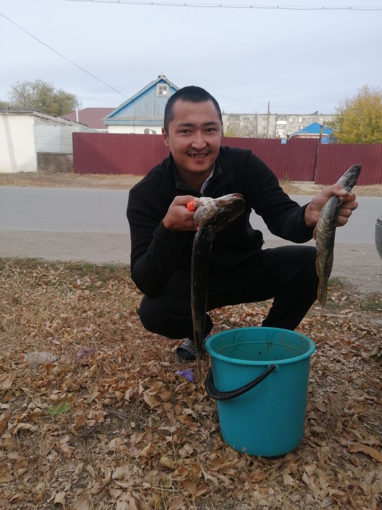 ���� 36266040 ������� ������, 29 ���, ���� ���������� � �����������