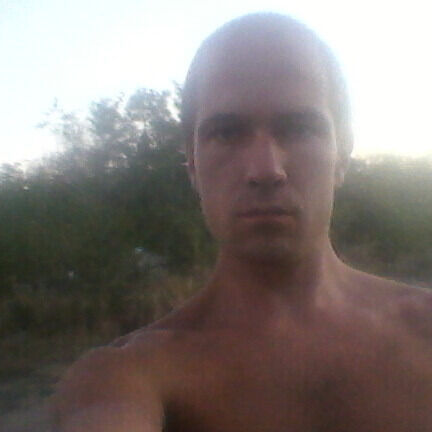  31513090  , 36 ,    --