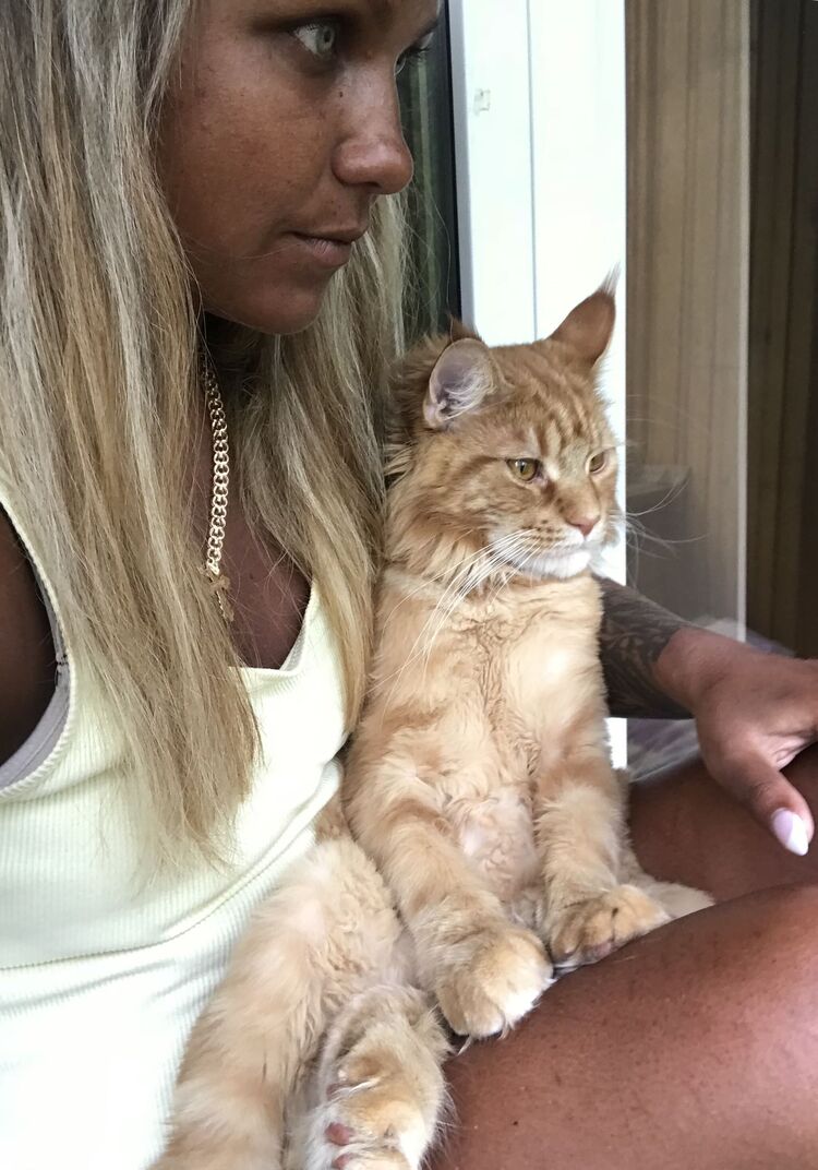   ,   , 33 ,  
