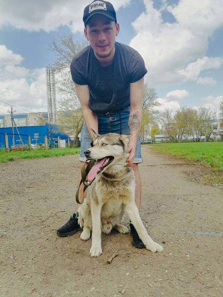 ���������� ����, ���� ������� Butcher_will, 29 ���, ������������ ��� ������, ����� � ���������, ���������