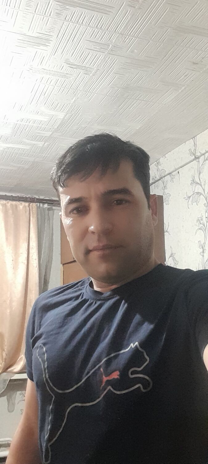 31813580  , 36 ,    