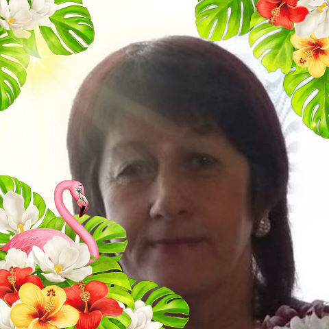  ,   Ipina, 59 ,   ,   , c 