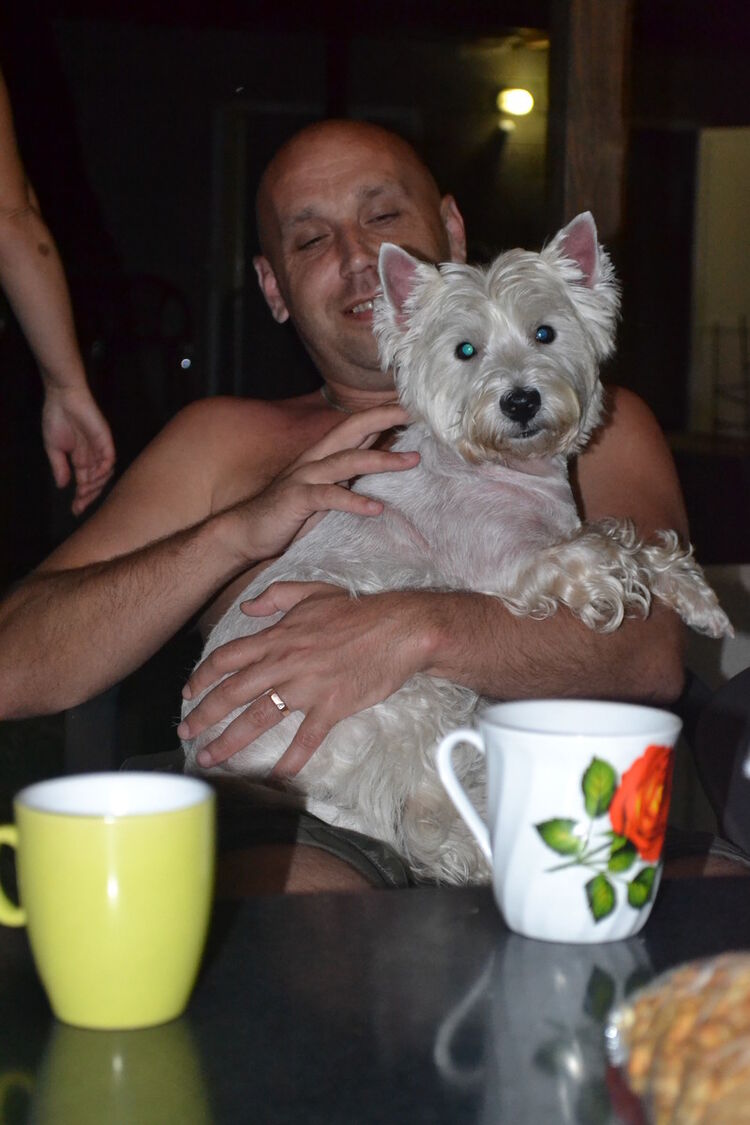 ���������� ��������, ���� ������� ����19781, 47 ���, ������������ ��� ������, ����� � ���������, c�������� ���������