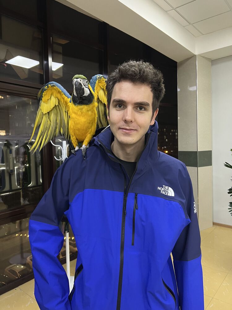 ���������� ������������, ���� ����� ������, 25 ���, ������������ ��� ������, ����� � ���������