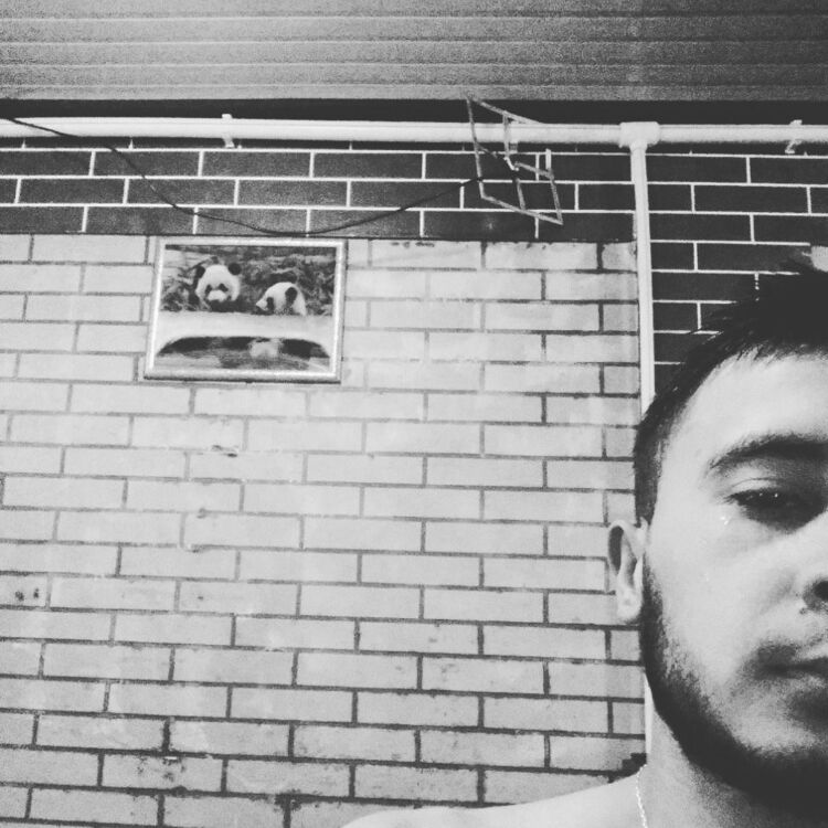 ���� 24478650 ������� ������, 26 ���, ���� ���������� � ����������