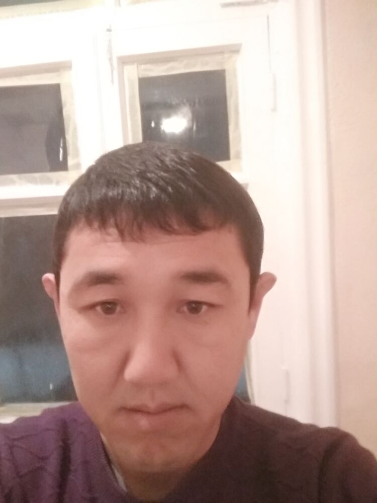  24958580  , 41 ,    